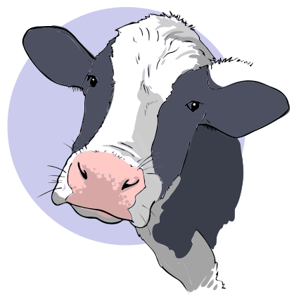 Free Cow Head Clip Art