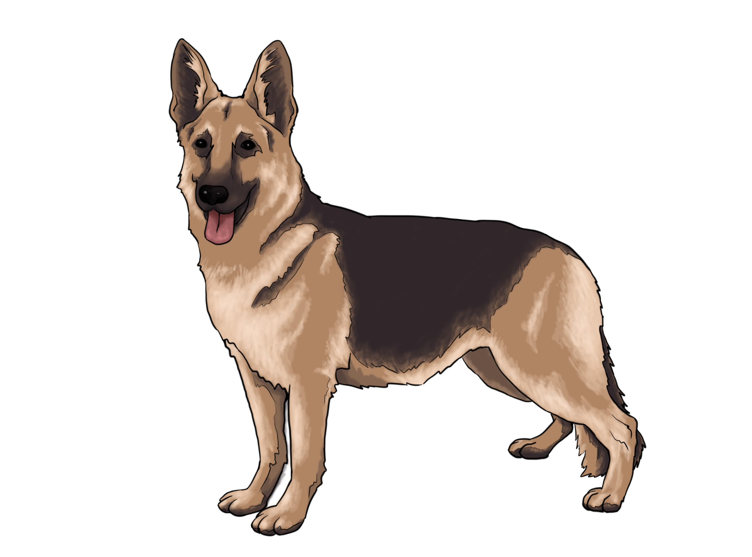 How To Draw A Real Dog  10 Steps  With Pictures    Wikihow