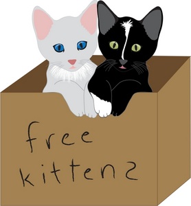 Kittens Clip Art Images Kittens Stock Photos   Clipart Kittens