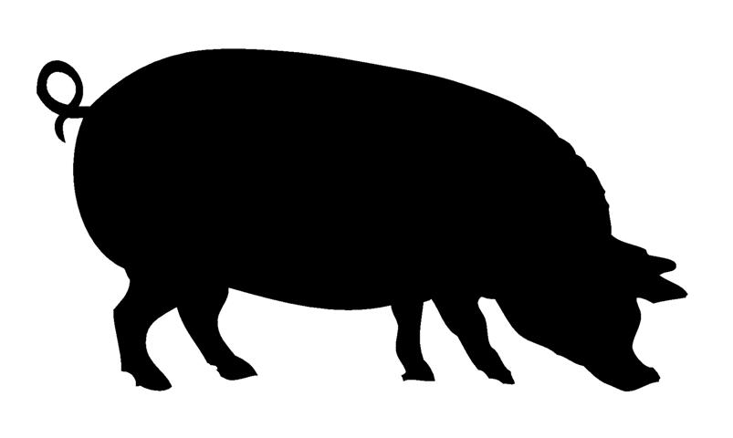 Livestock Show Pig Clip Art Pig Silhouette