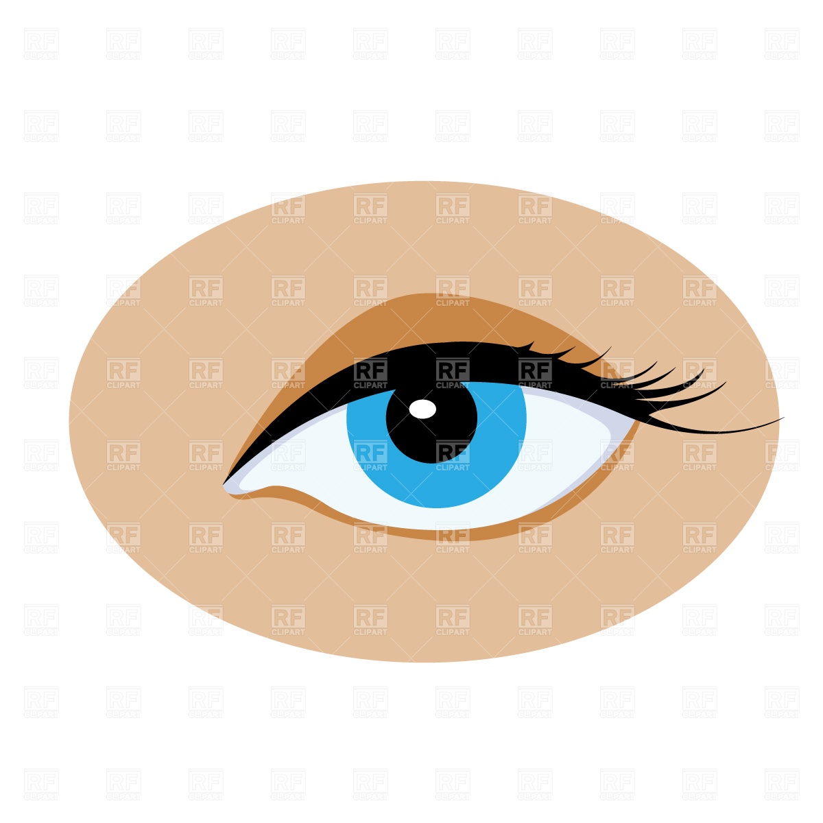 Opened Human Eye Download Free Vector Clipart  Eps