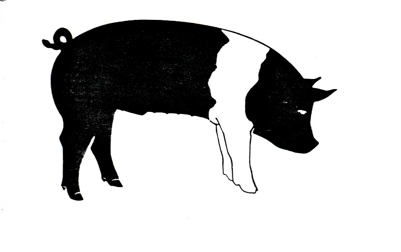 Show Pig Clip Art