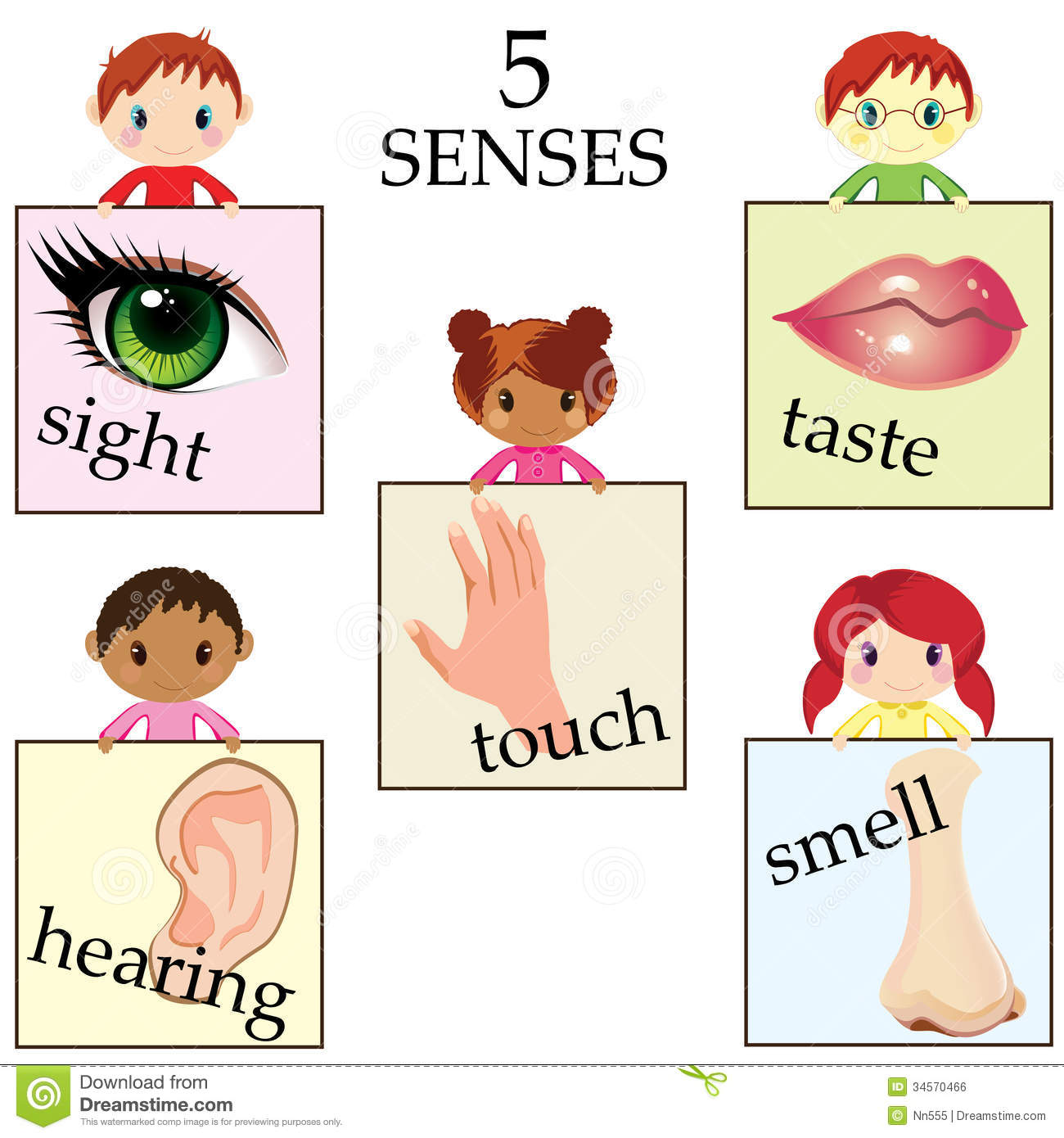 Viewing Gallery For   5 Senses Clipart