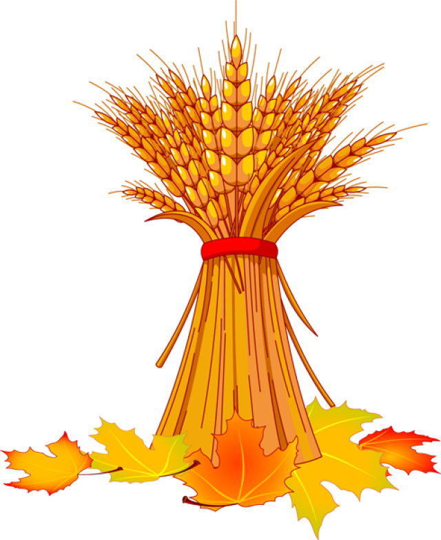 Autumn Clip Art Of A Basket Fallen Leaves   Hd