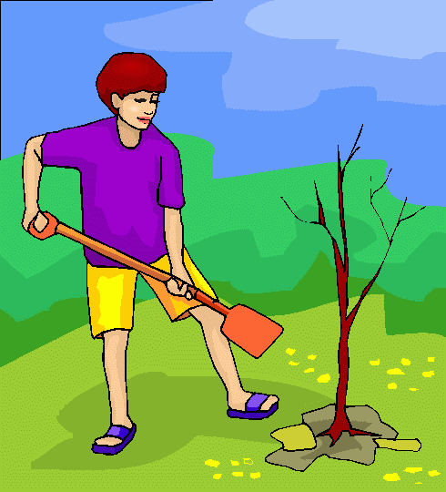Boy Planting Tree Clipart   Boy Planting Tree Clip Art