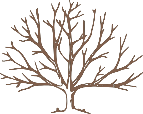 Brown Bare Tree Clip Art At Clker Com   Vector Clip Art Online    