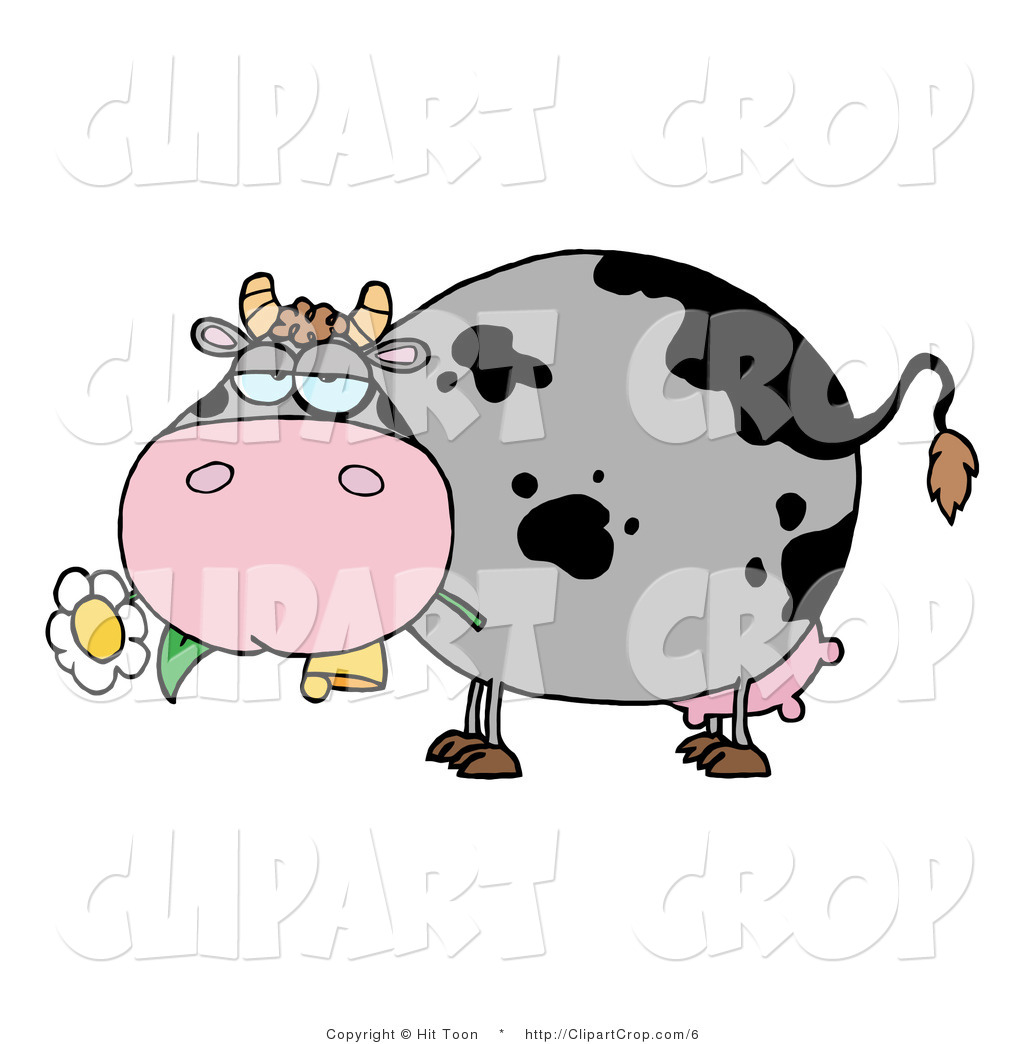 Clip Art Of A Gray Spotted Barnyard Cow Eating A Daisy By Hit Toon 6    