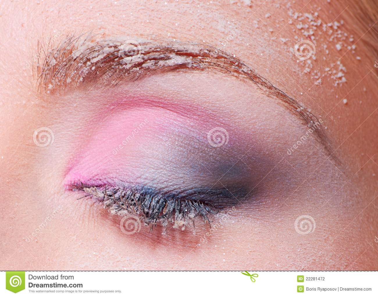 Closed Eye With Snowy Makeup Stock Photography   Image  22281472