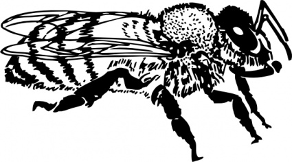 Queen Bee Clip Art Black And White Honey Bee Clip Art  Black