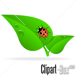 Related Ladybug On Leaf Cliparts  