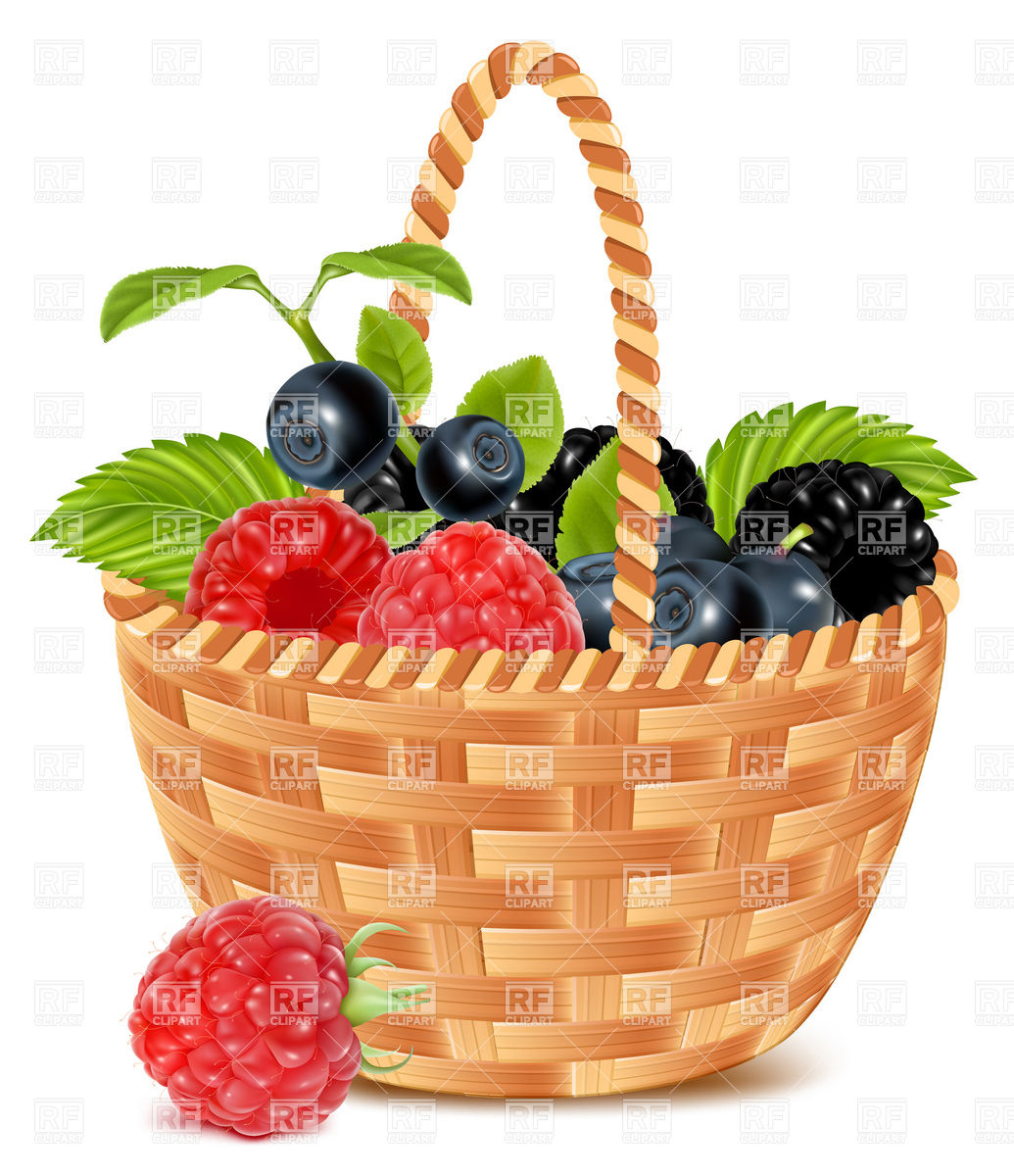 Ripe Forest Berries In The Basket 4962 Food And Beverages Download    