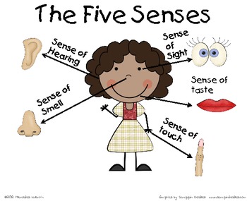 We All Know What Our Five Senses Are Right