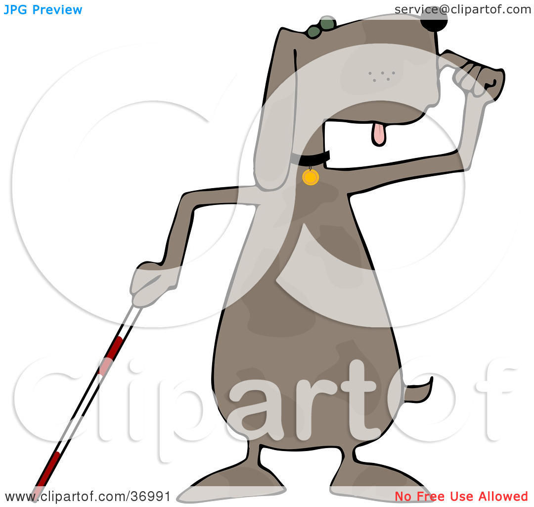 Clipart Illustration Of A Blind Dog Using A White Cane By Djart  36991