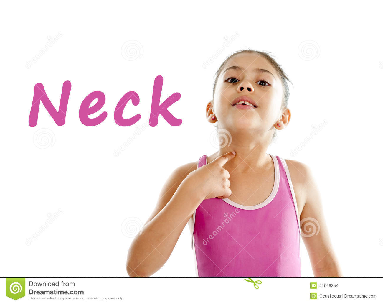     Neck And Throat On A White Background For A School Anatomy Or Body