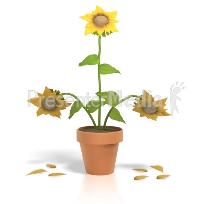Withered Plant Clipart Flower Powerpoint Clip Art