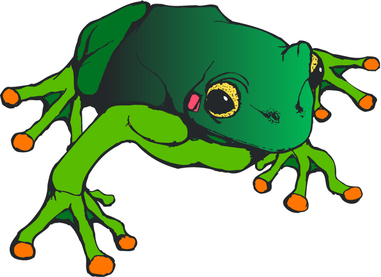 Beautiful Green Frog Clip Art Pic