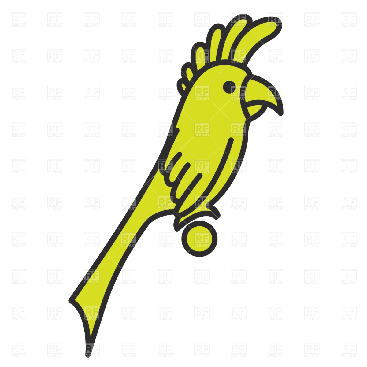 Cartoon Parrot   Cockatoo Download Royalty Free Vector Clipart  Eps