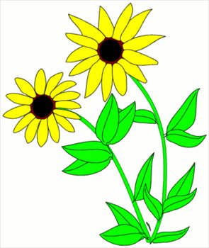 Free Blackeyed Susan Clipart   Free Clipart Graphics Images And    