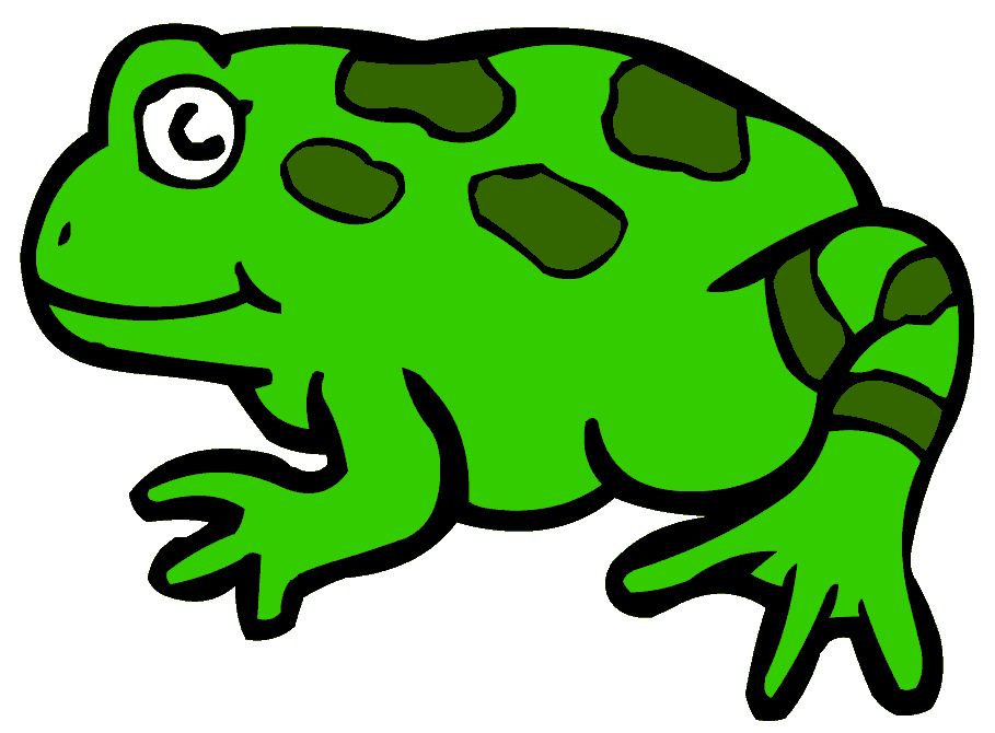 Green  Frog   The   Is