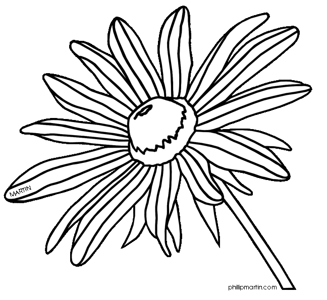 Maryland State Flower Coloring Page