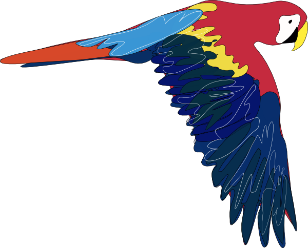Parrot Clip Art At Clker Com   Vector Clip Art Online Royalty Free    