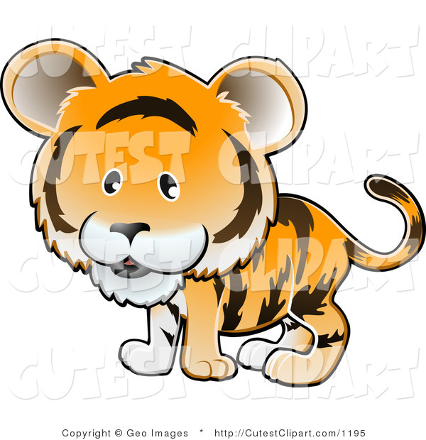 Baby Tiger Clip Art Pictures