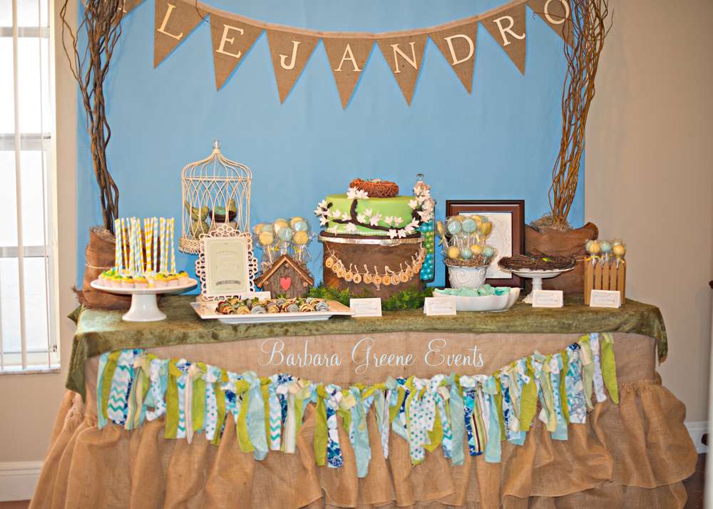 Birds Nest Baby Shower Party Ideas   Photo 1 Of 7   Catch My Party