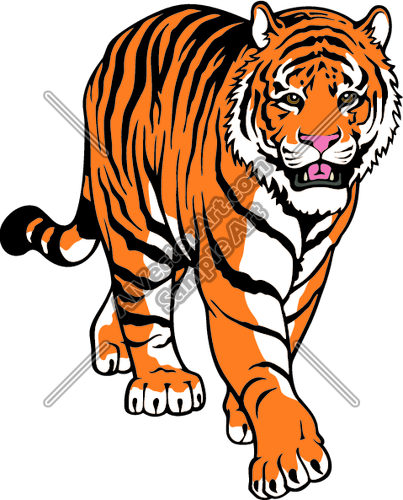 Tiger With Black Stripes Http Www Dailyclipart Net Clipart Tiger Clip