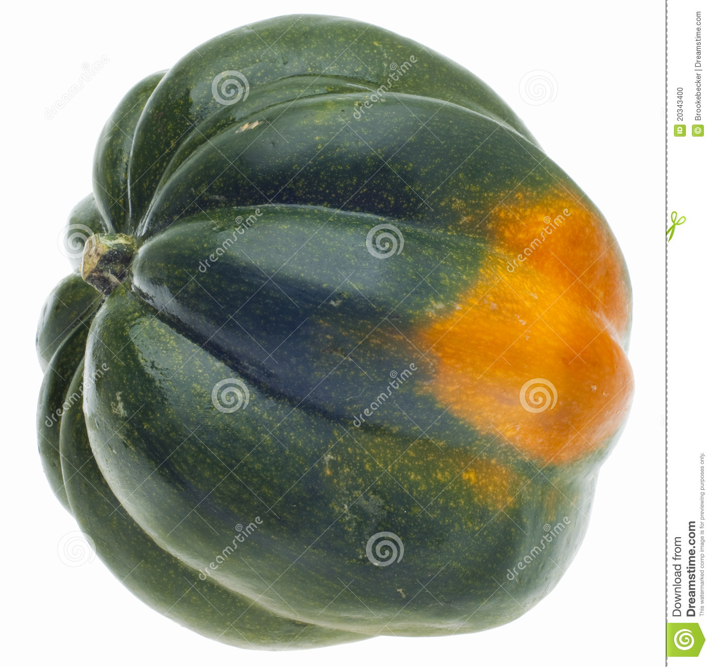 Acorn Squash Isolated On White With A Clipping Path