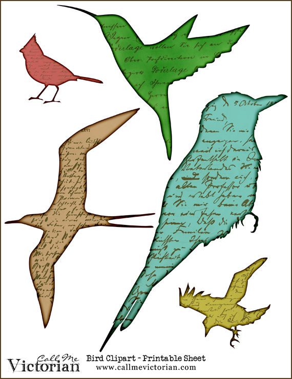 Bird Printable Sheet