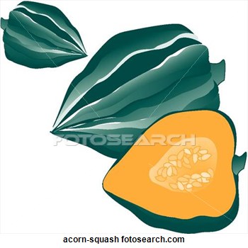 Clip Art Of Acorn Squash Acorn Squash   Search Clipart Illustration