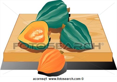 Clipart Of Acorn Squash Composition Acornsq1   Search Clip Art    
