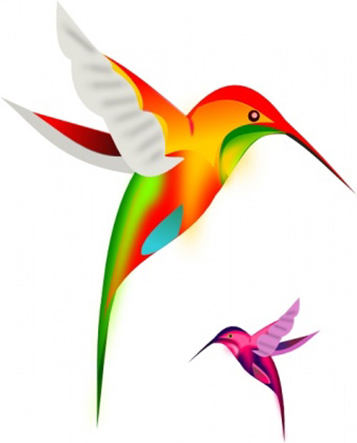 Colorful Humming Bird Clip Art Free Vector Birds Design For Free
