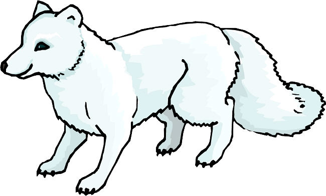 Fox By Kawarbir Post Navigation Fox Coloring Images Fox Coloring Page