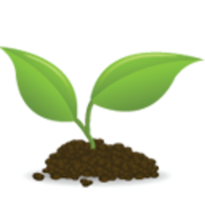 Icon Seedling   Free Images At Clker Com   Vector Clip Art Online