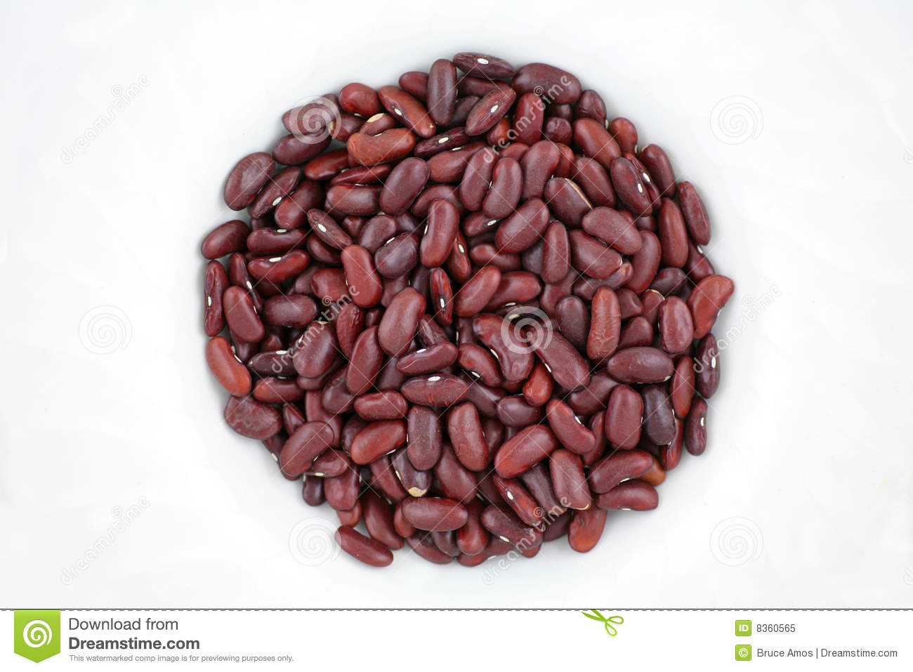 Kidney Bean Clip Art For Pinterest