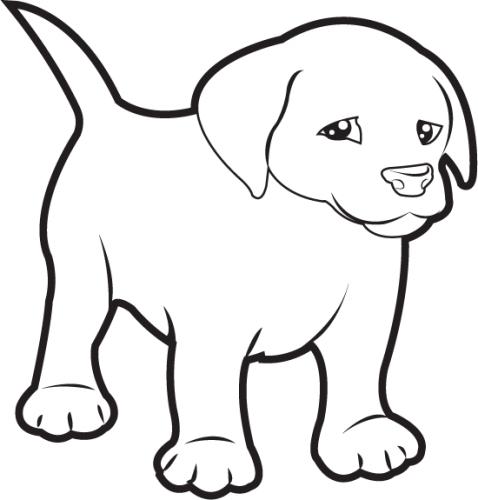 Labrador Puppy Photo Clip Art   Free Cliparts That You Can Download