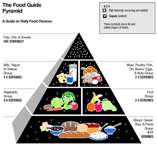The Pyramid Places Foods Into Six Groups Showing How Many Servings For