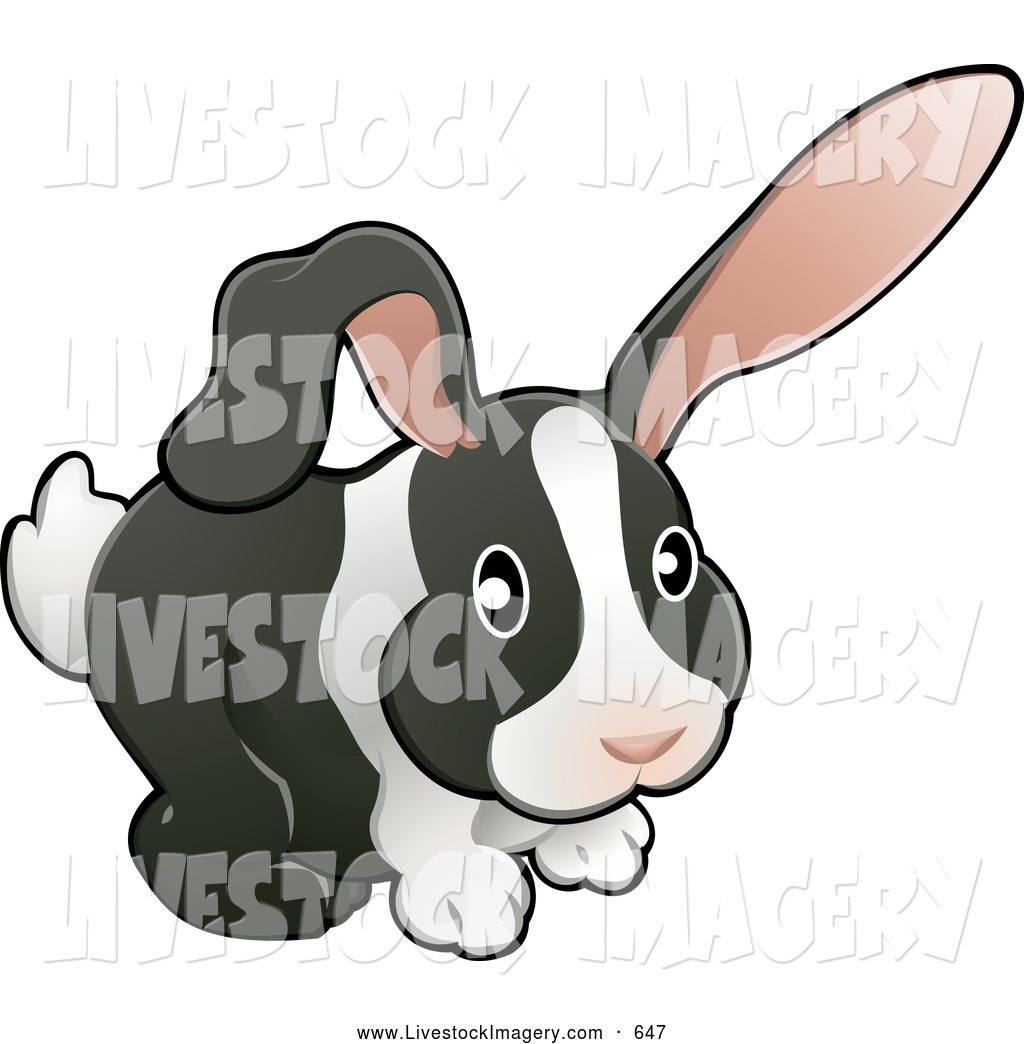And White Dutch Bunny Rabbit With Pink Ears By Atstockillustration