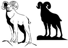 Big Horn Sheep Stock Illustrations Vectors   Clipart   Dreamstime