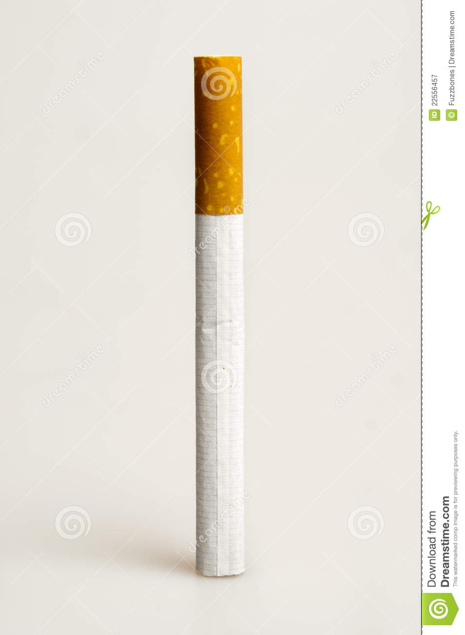 Cigarette Royalty Free Stock Photography   Image  22556457