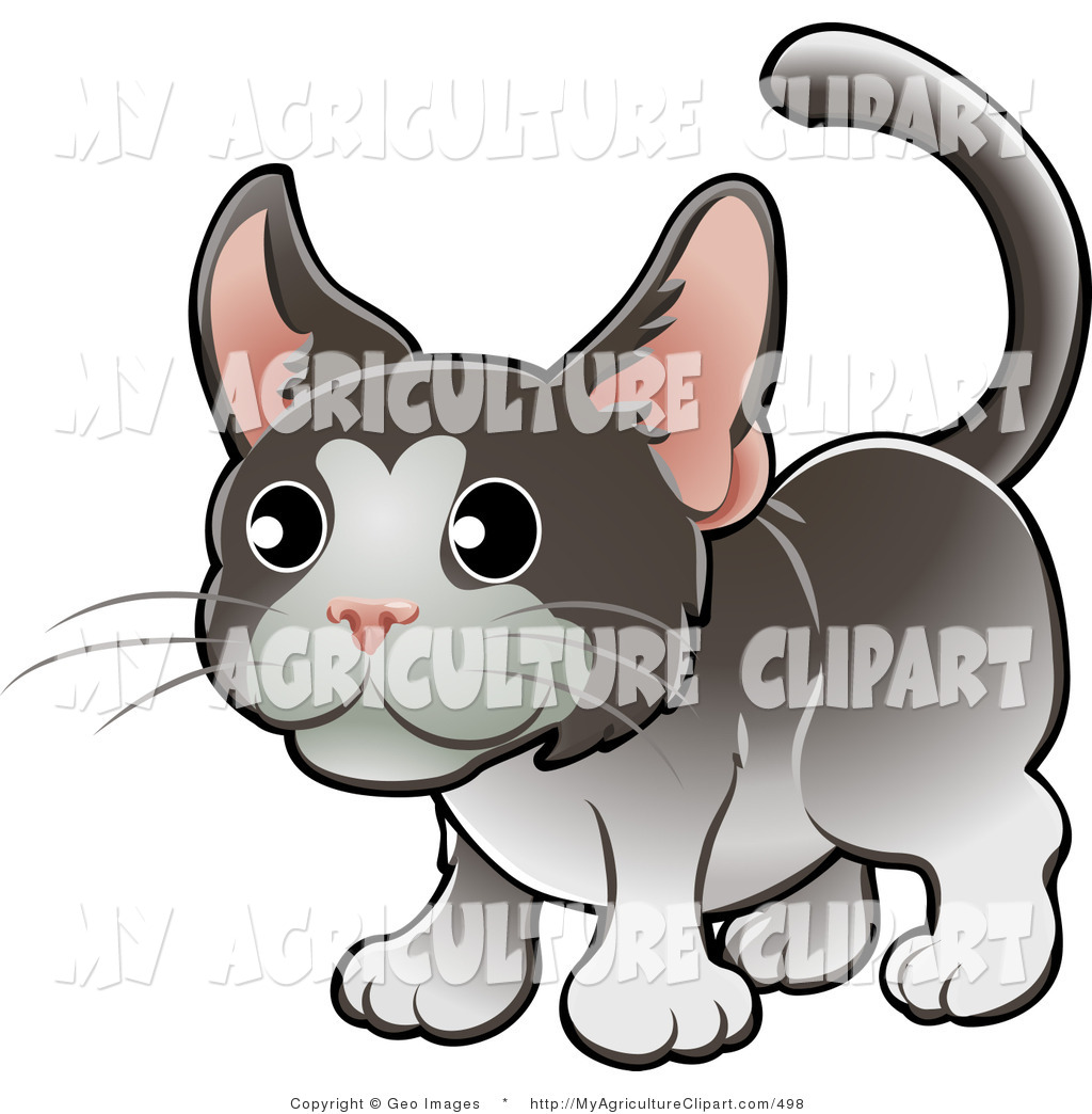 Clipart Of A Sweet Gray And White Tuxedo Cat With Pink Ears Looking