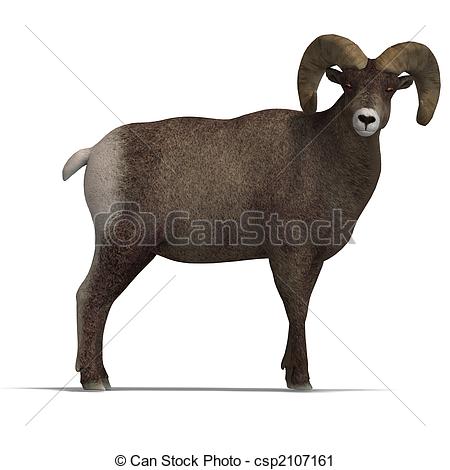 Clipart Of Big Horn Sheep Aries   An Aries Ram With Twisted Horns 3d    