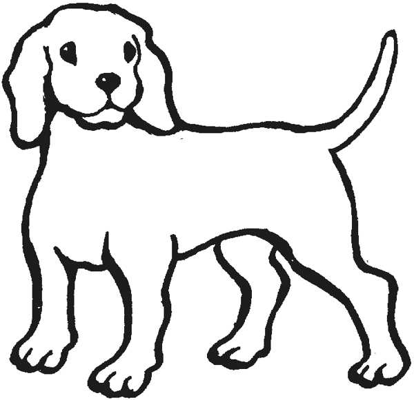 Dog And Cat Outline   Clipart Best