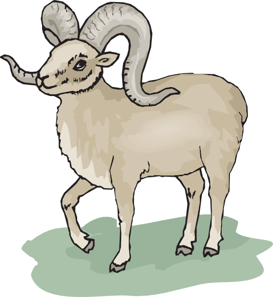 Gray Bighorn Sheep Clip Art At Clker Com   Vector Clip Art Online    