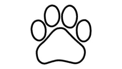 Paw Print Outline Dog Paw Print Multiple Styles