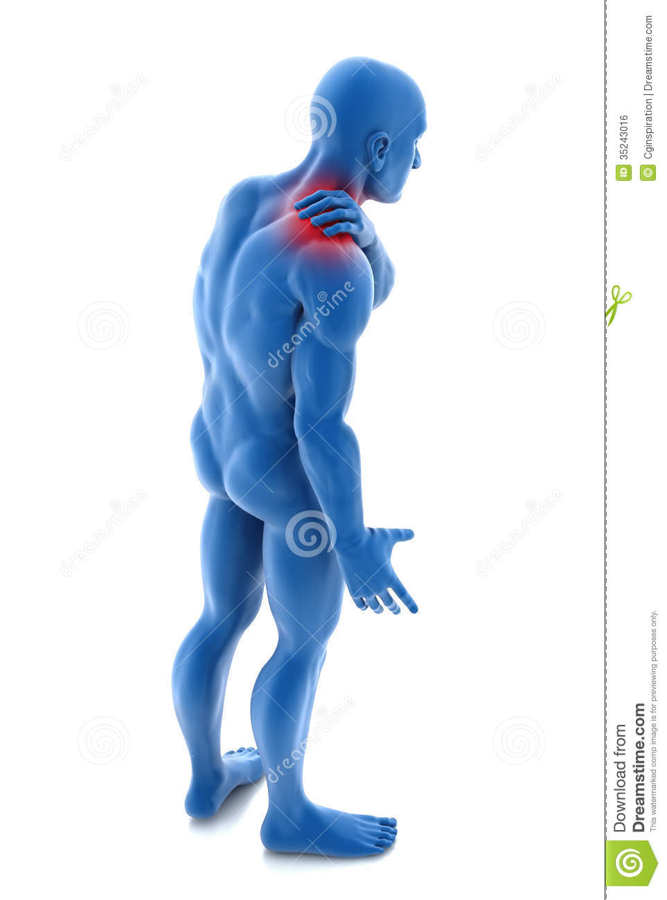 Shoulder Pain Royalty Free Stock Image   Image  35243016