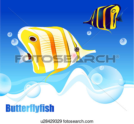 Undersea Ocean Sea Butterflyfish U28429329   Search Vector Clipart
