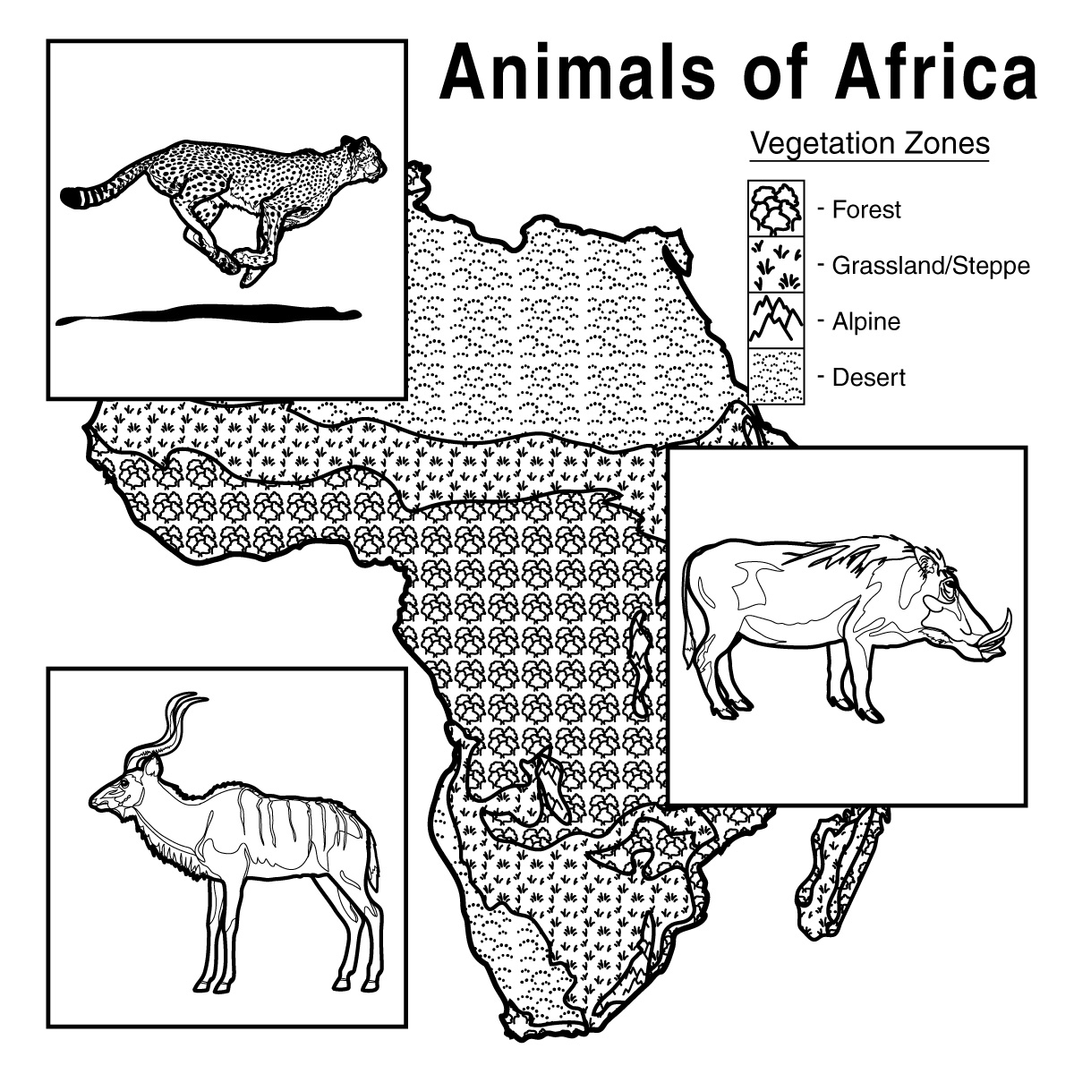 Clip Art  Baby Animals  Elephant Calf  Coloring Page    Abcteach