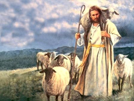 How In The World    I Am The Good Shepherd  John 10 11 23  Refracted    
